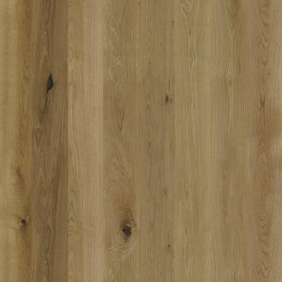 E024011 00 B Eiche Bologna 1500x3050