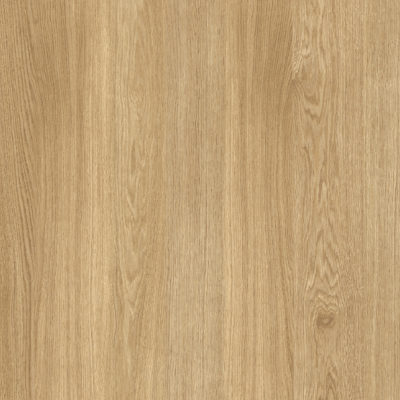 E024012 00 B Eiche Tarvis Lowres